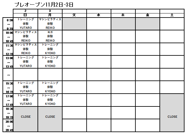 11/2-3スケジュール（プレオープン）